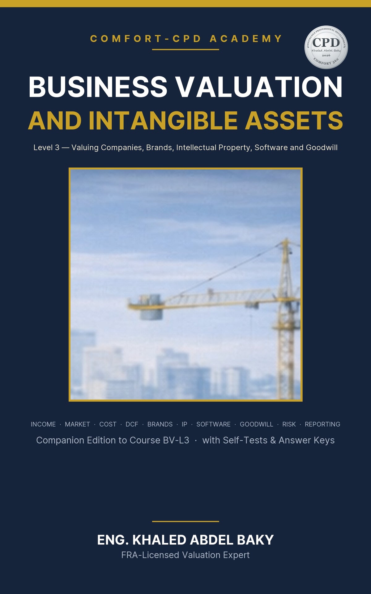 Business Valuation and Intangible Assets – eBook cover